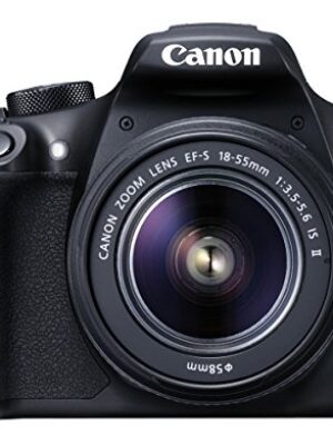 Nikon D3300 and Simple Coupon with Review