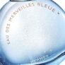 Eau des Merveilles Bleue, a fragrance that smells of the sea
